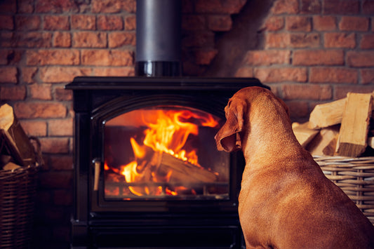 dog-friendly pubs in the uk