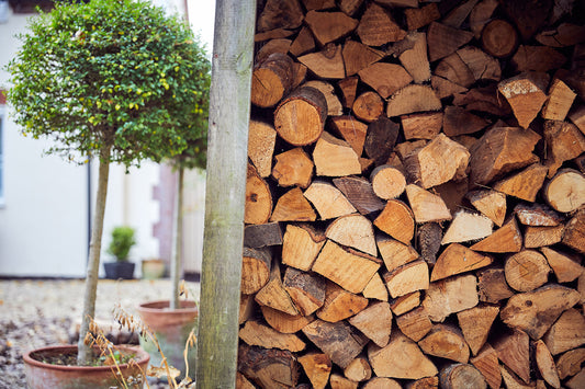 kiln dried logs in log store