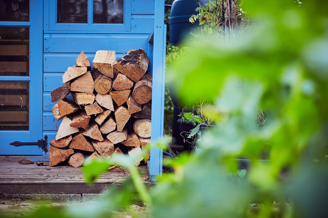 Hardwood vs Softwood Blog