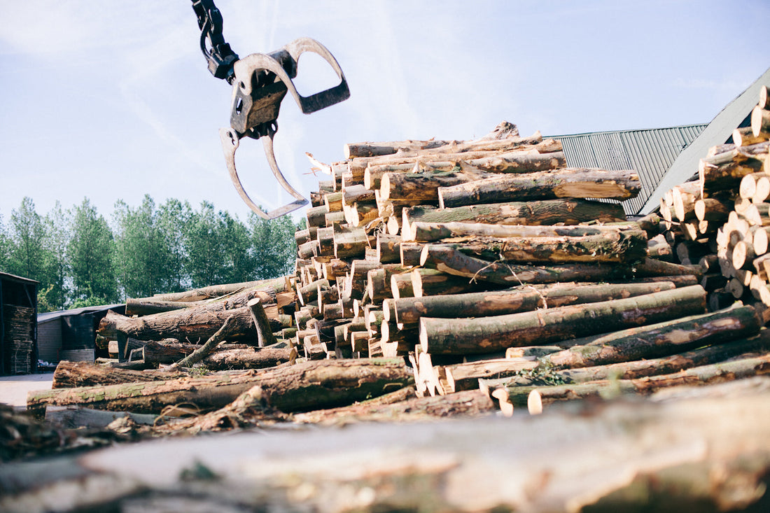 responsible logging