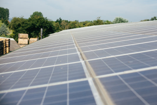 The importance of reducing emissions