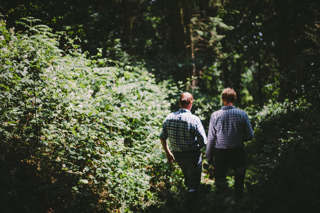 British Woodland Crisis