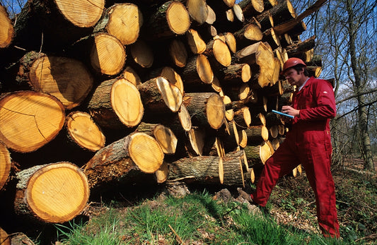 Checking logs
