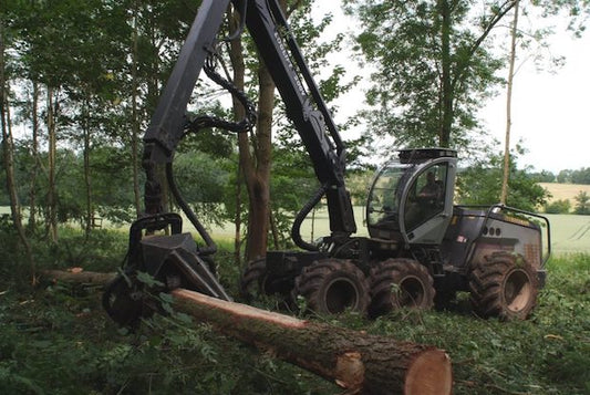 Firewood Prices On The Rise