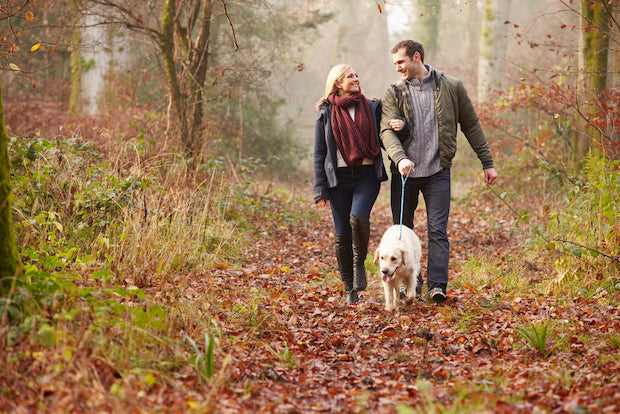 Winter Woodland Walks