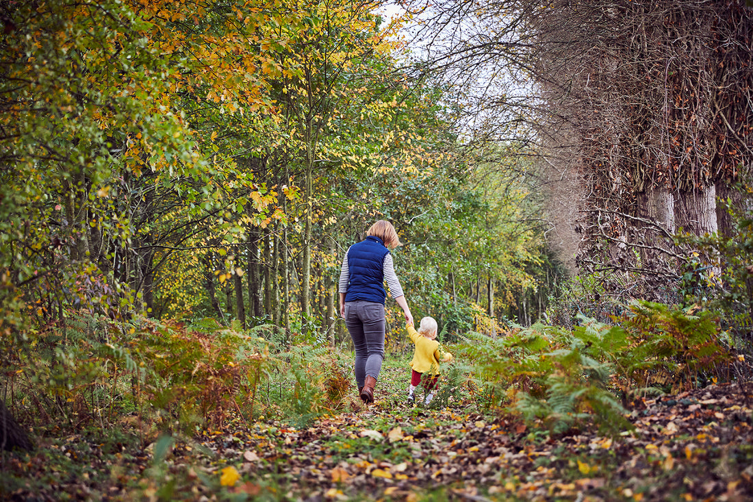 Environmental Protection Plan and woodburning