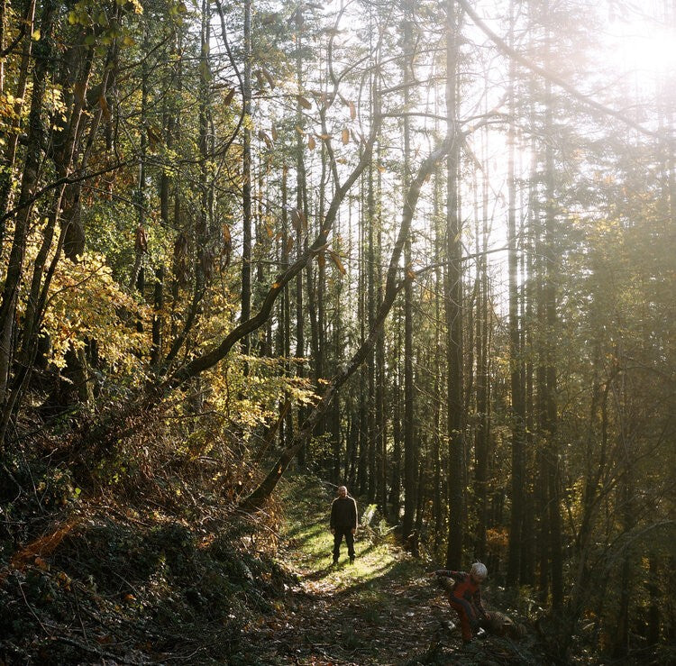 Woodlands-Hillyfeild-outdoors