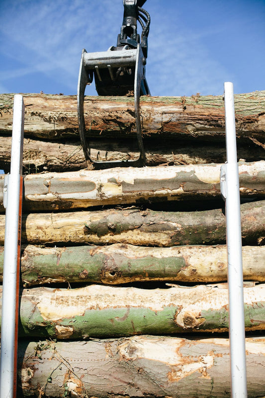 The Ultimate Ash Firewood Guide