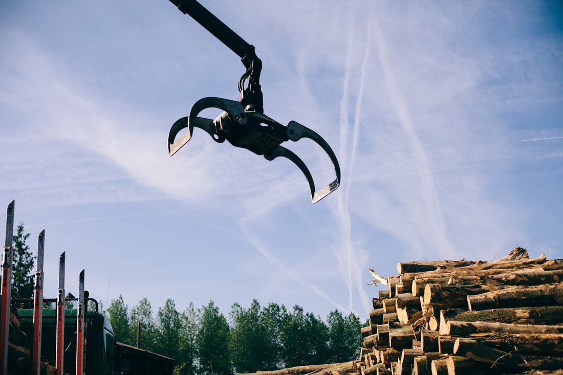 The Ultimate Ash Firewood Guide