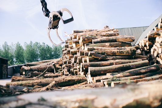 responsible logging