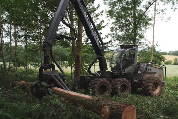 Firewood Prices On The Rise