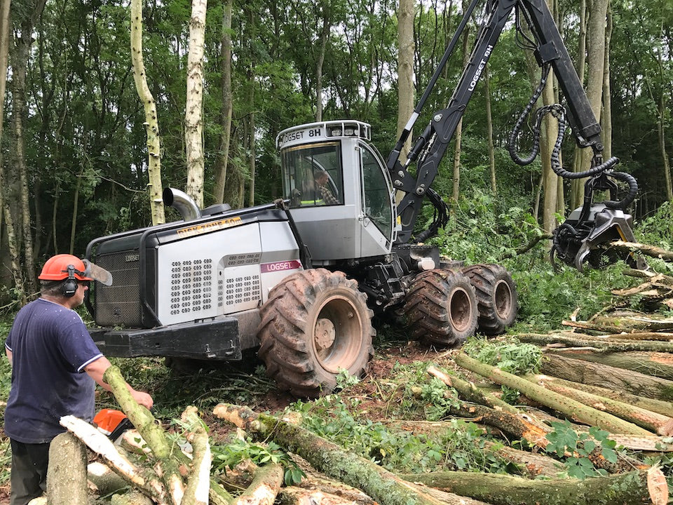 Tree felling
