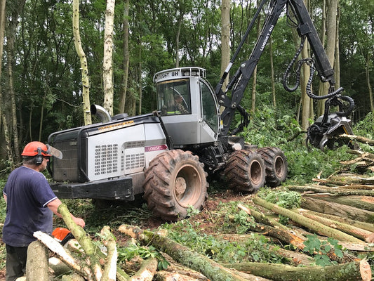 Tree felling