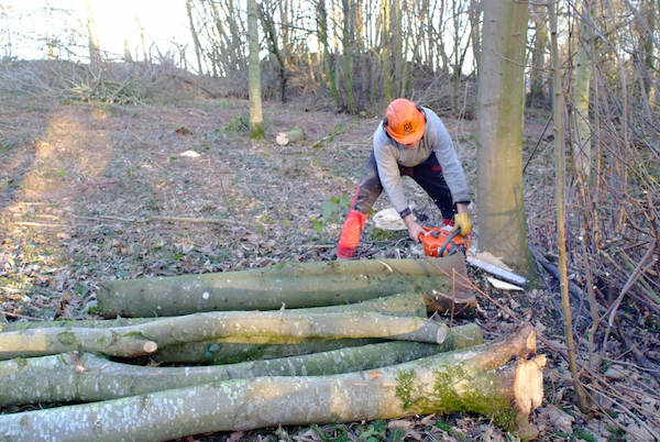A Woodsman’s Work – Woodland thinning