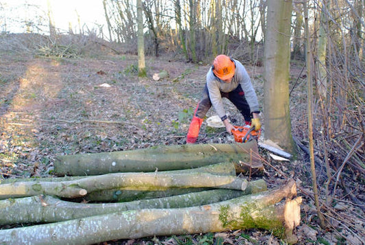 A Woodsman’s Work – Woodland thinning
