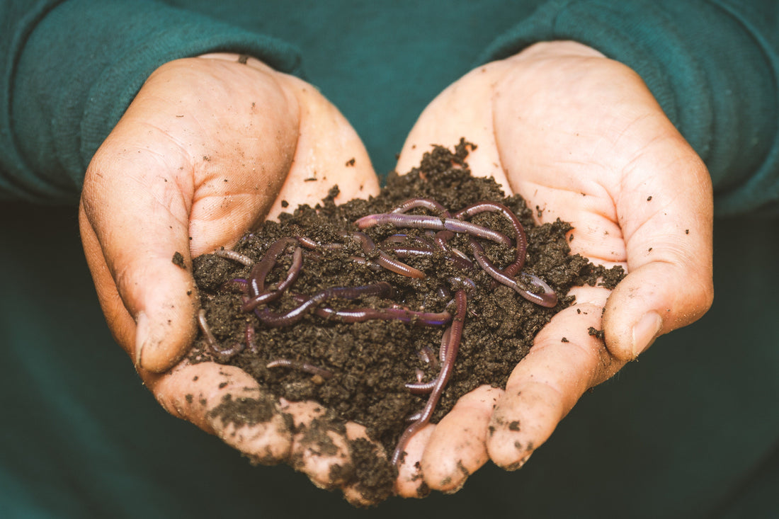 Certainly Wood's Secret To The Perfect Compost