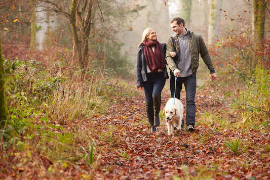 Winter Woodland Walks