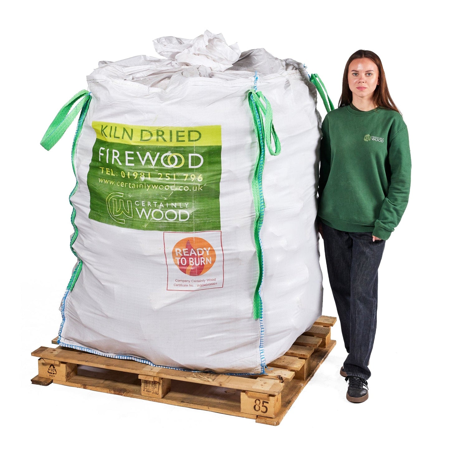 A person standing next to a 1.6m3 bulk bag of kiln dried logs. 