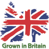 Grown in Britain