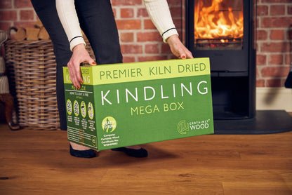 Person holding a green box of 'Premier Kiln Dried Kindling Mega Box' in front of a fireplace.