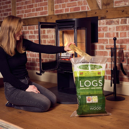 lighting woodburning stove with kiln dried logs