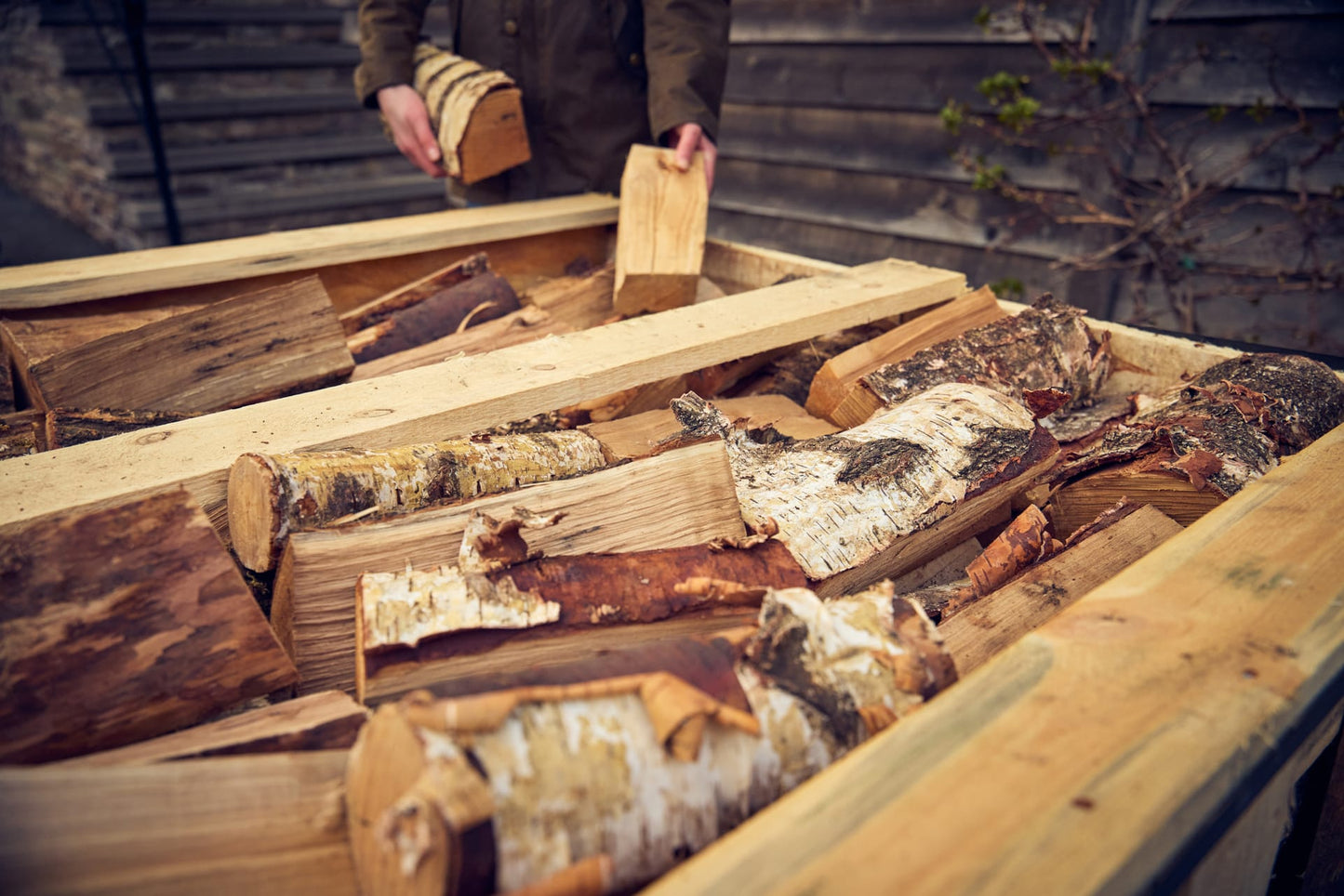 Silver birch firewood up close with a person holding more logs in the background.
