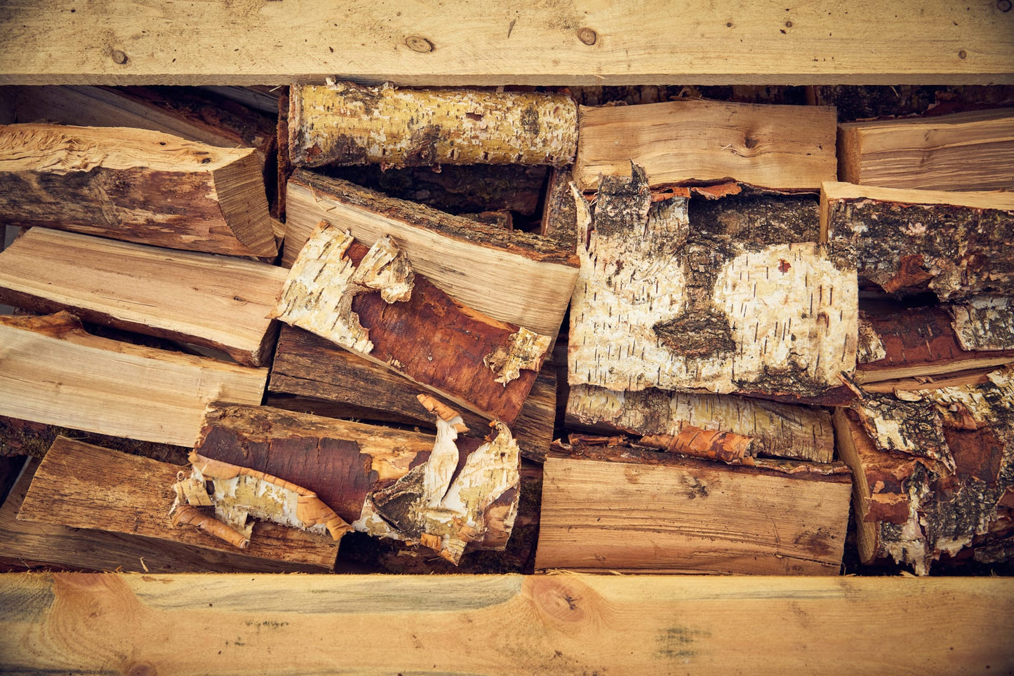 A close up image of silver birch firewood showing the bark and the flesh of the logs. 