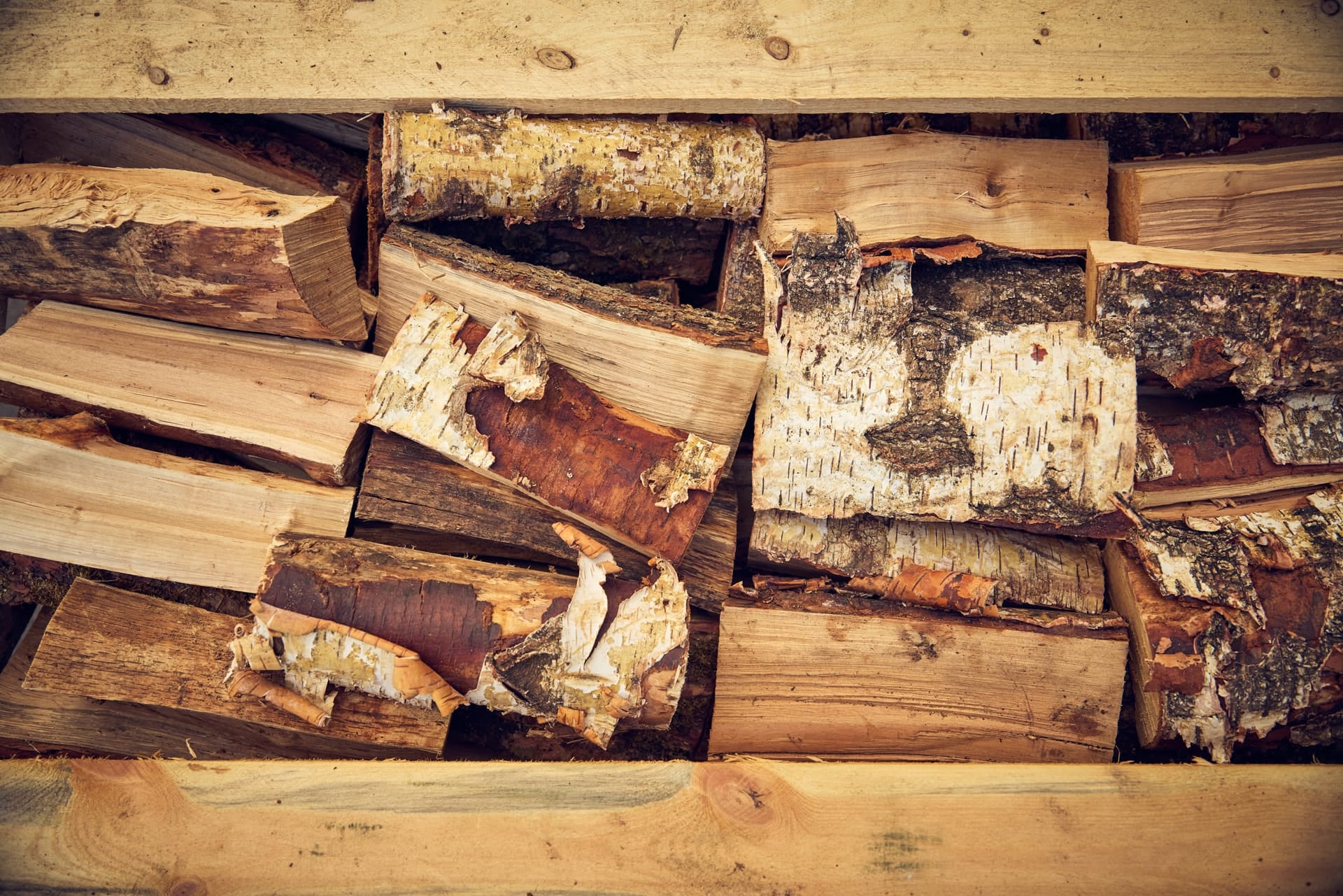 A close up image of silver birch firewood showing the bark and the flesh of the logs. 
